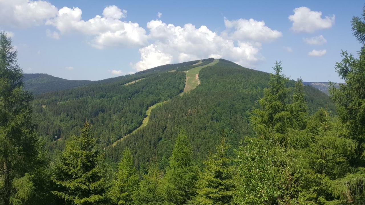 Apartman Medvedin 306 Špindlerŭv Mlýn 外观 照片